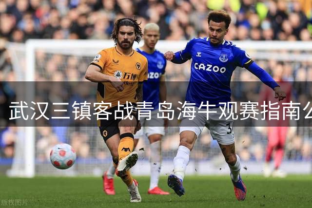 武汉三镇客战青岛海牛观赛指南公布